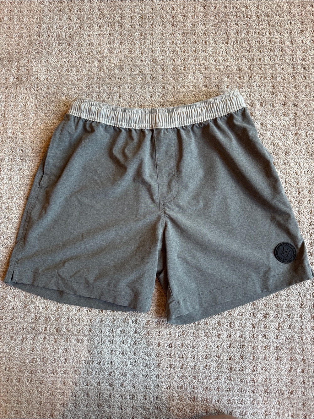 Chubbies Athletic Elastic-Waist Gray Shorts